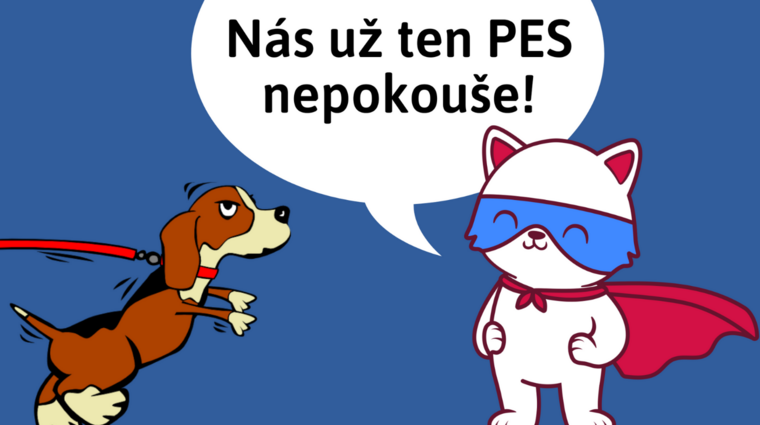 Kočkování