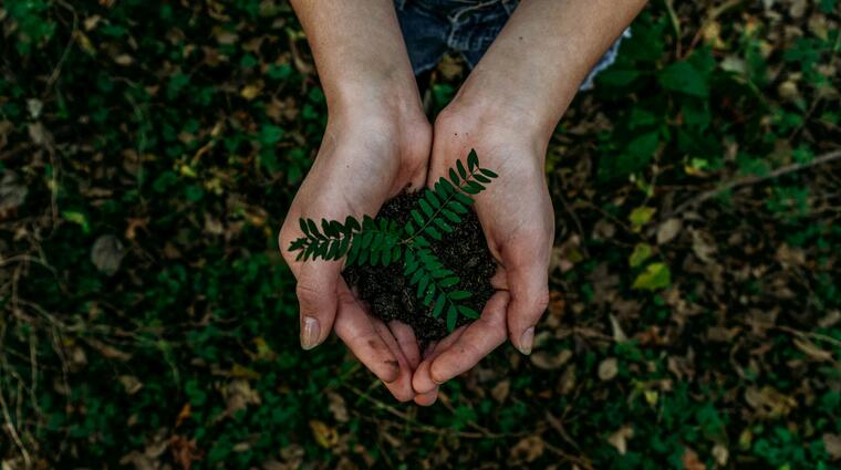 zdroj: Unsplash